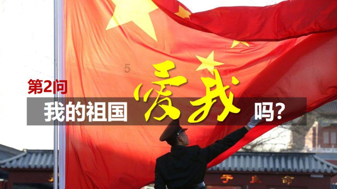 破碎的动物图形2